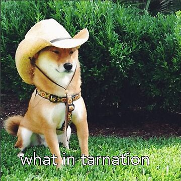 1760024201120.png