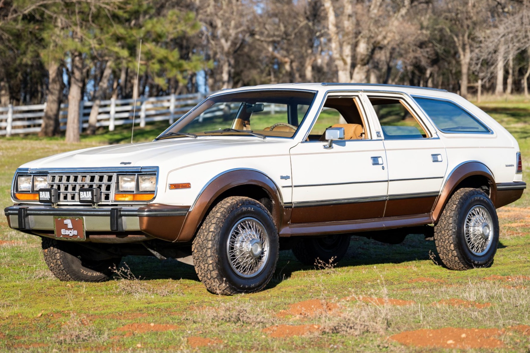 amc eagle.jpg