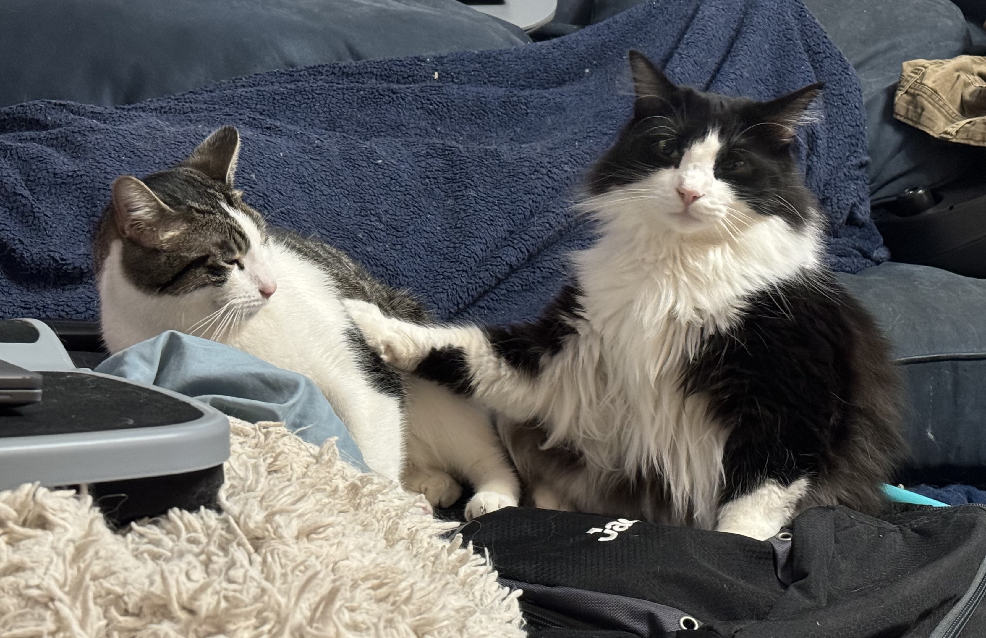 Ilya and Poppet.jpeg