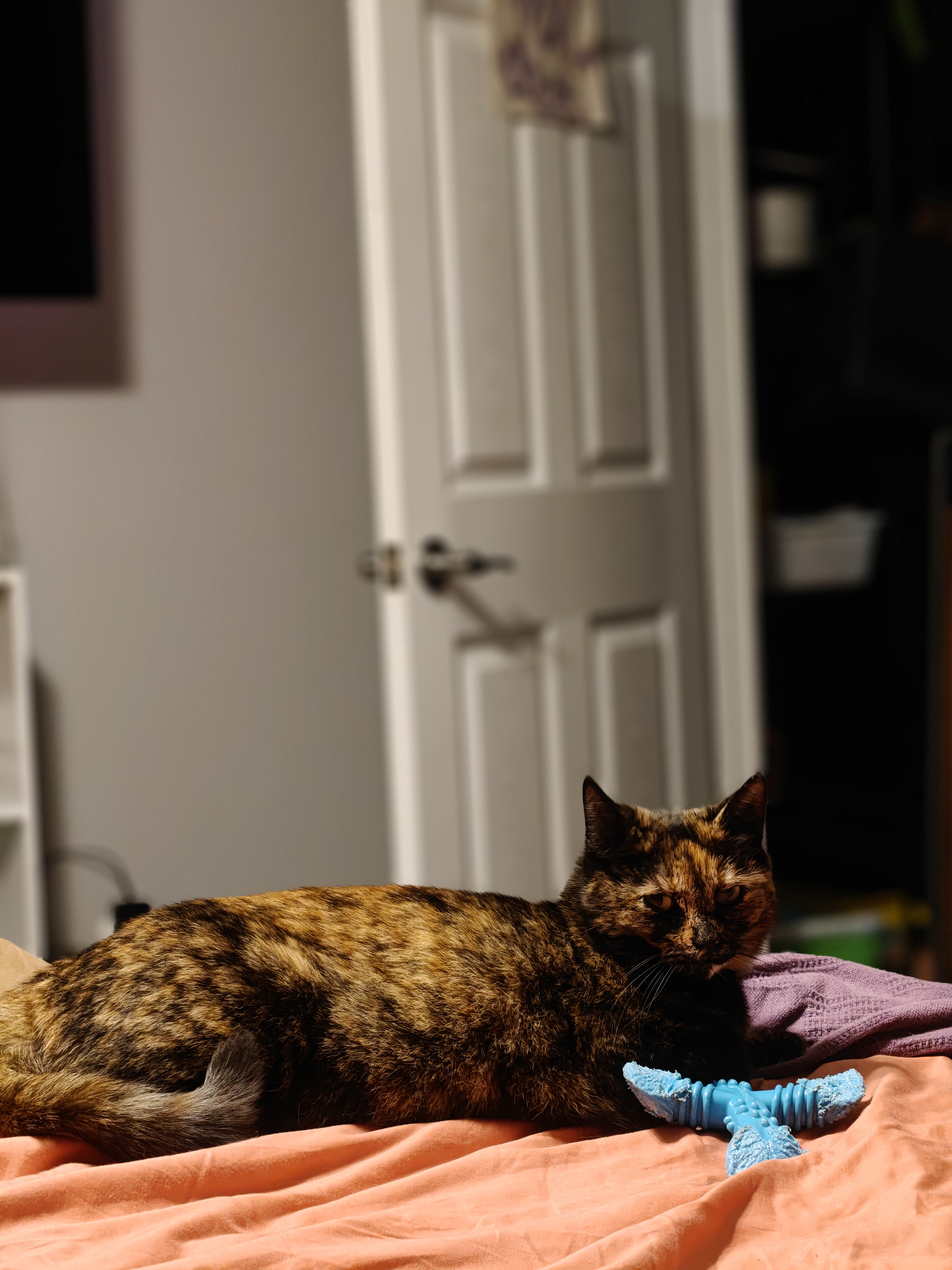 IMG20250411213722.jpg