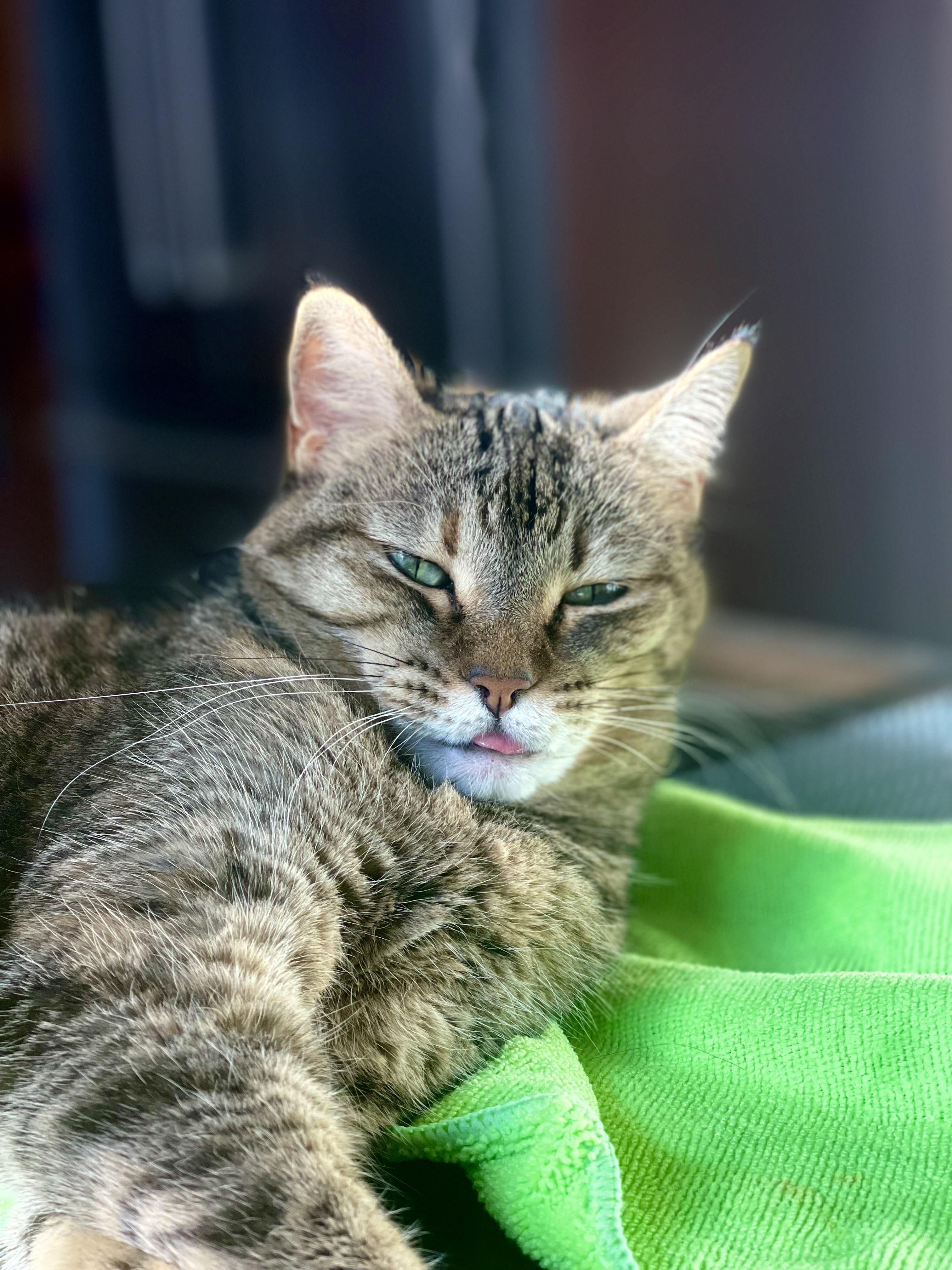 IMG_0540.jpeg