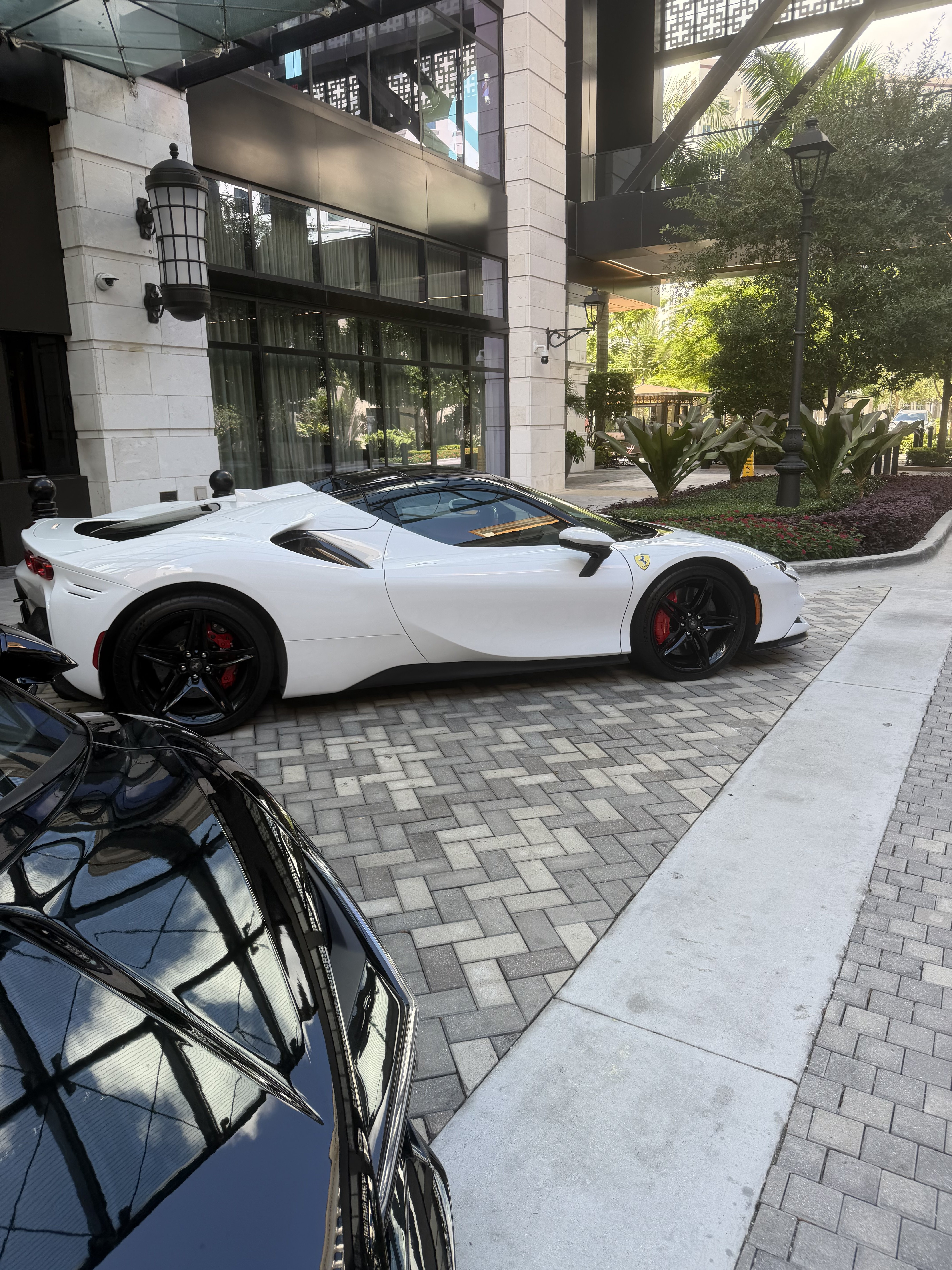 IMG_0546.jpeg