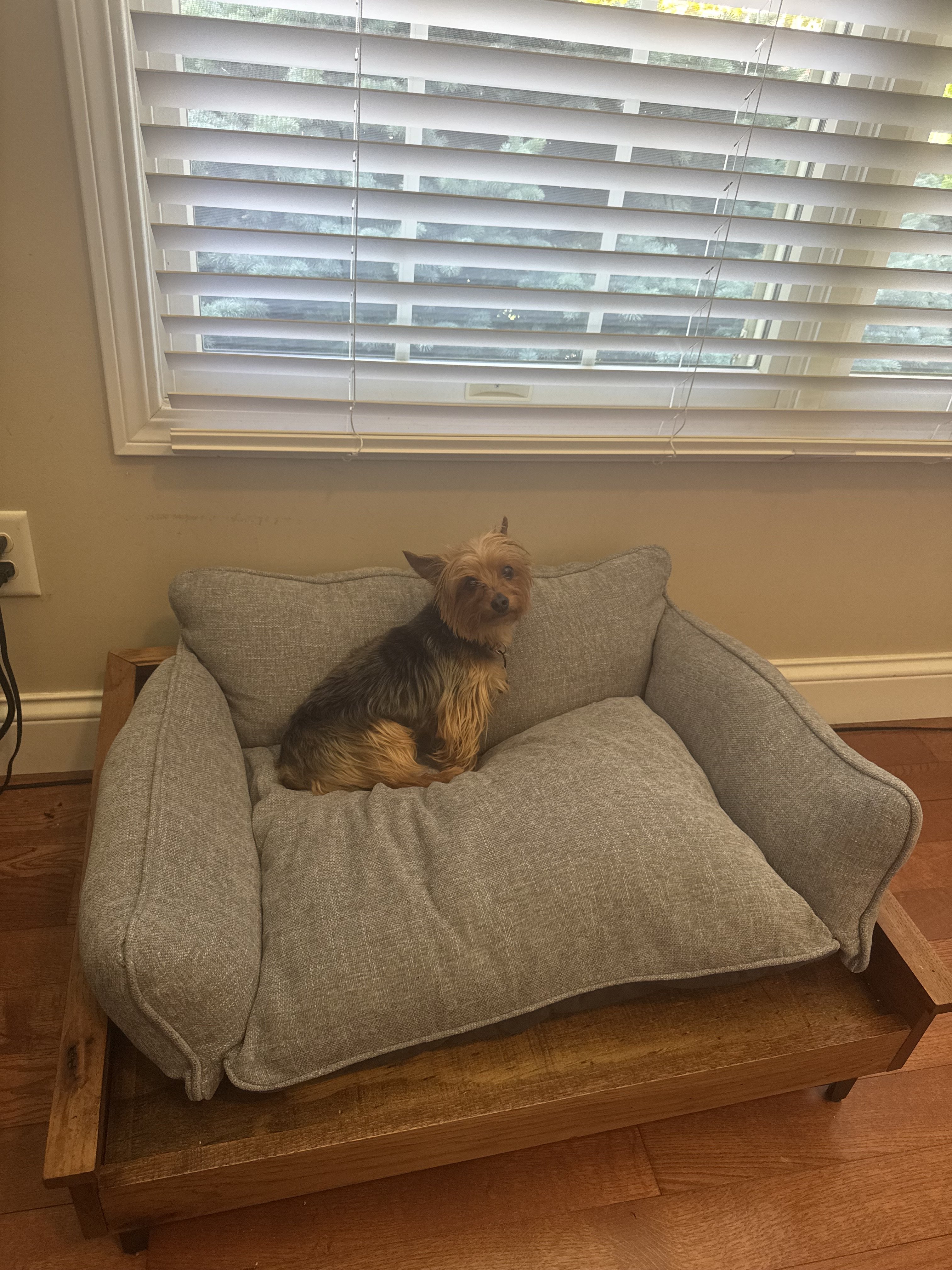 IMG_0751.jpeg