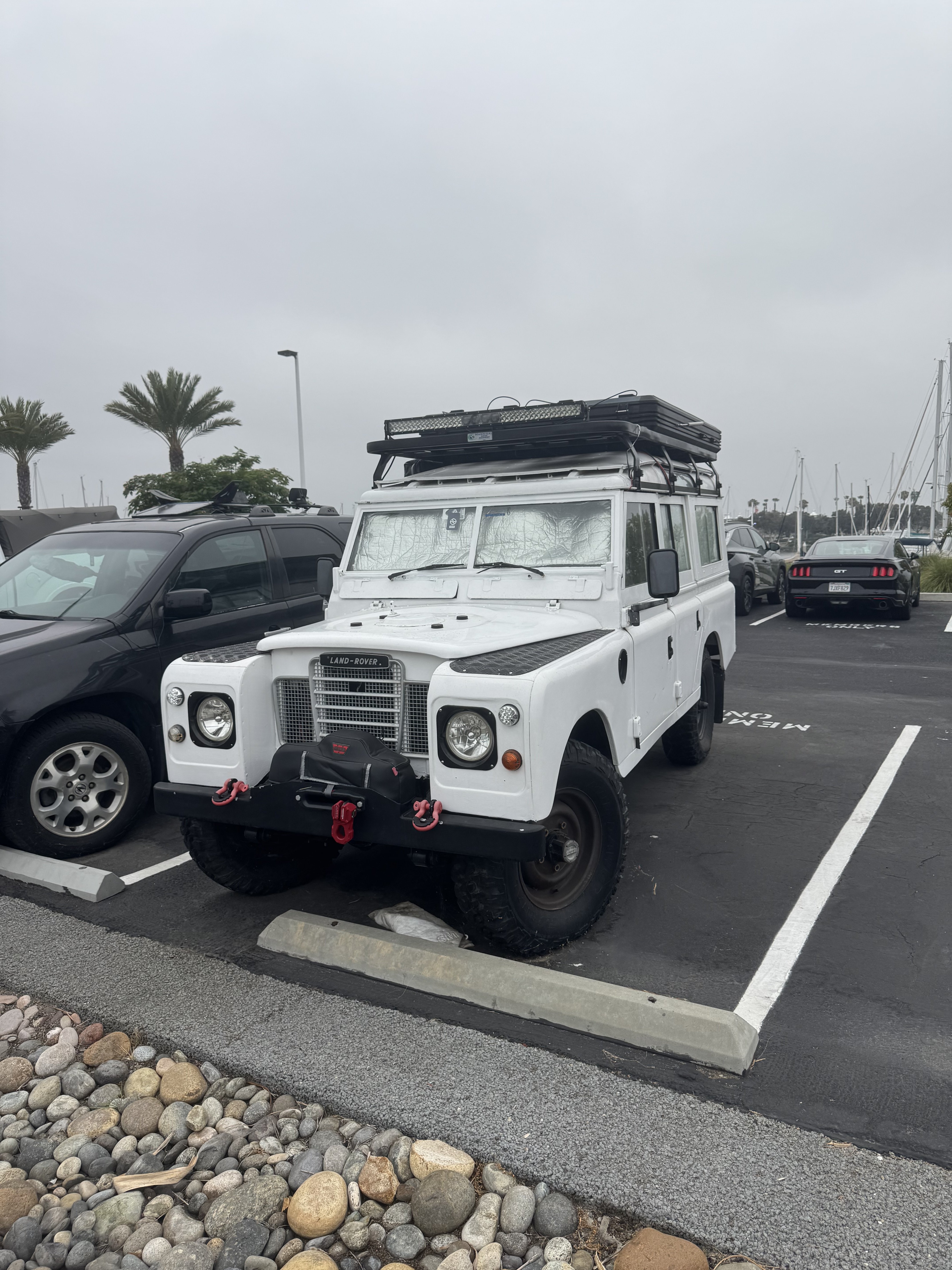 IMG_1036.jpeg