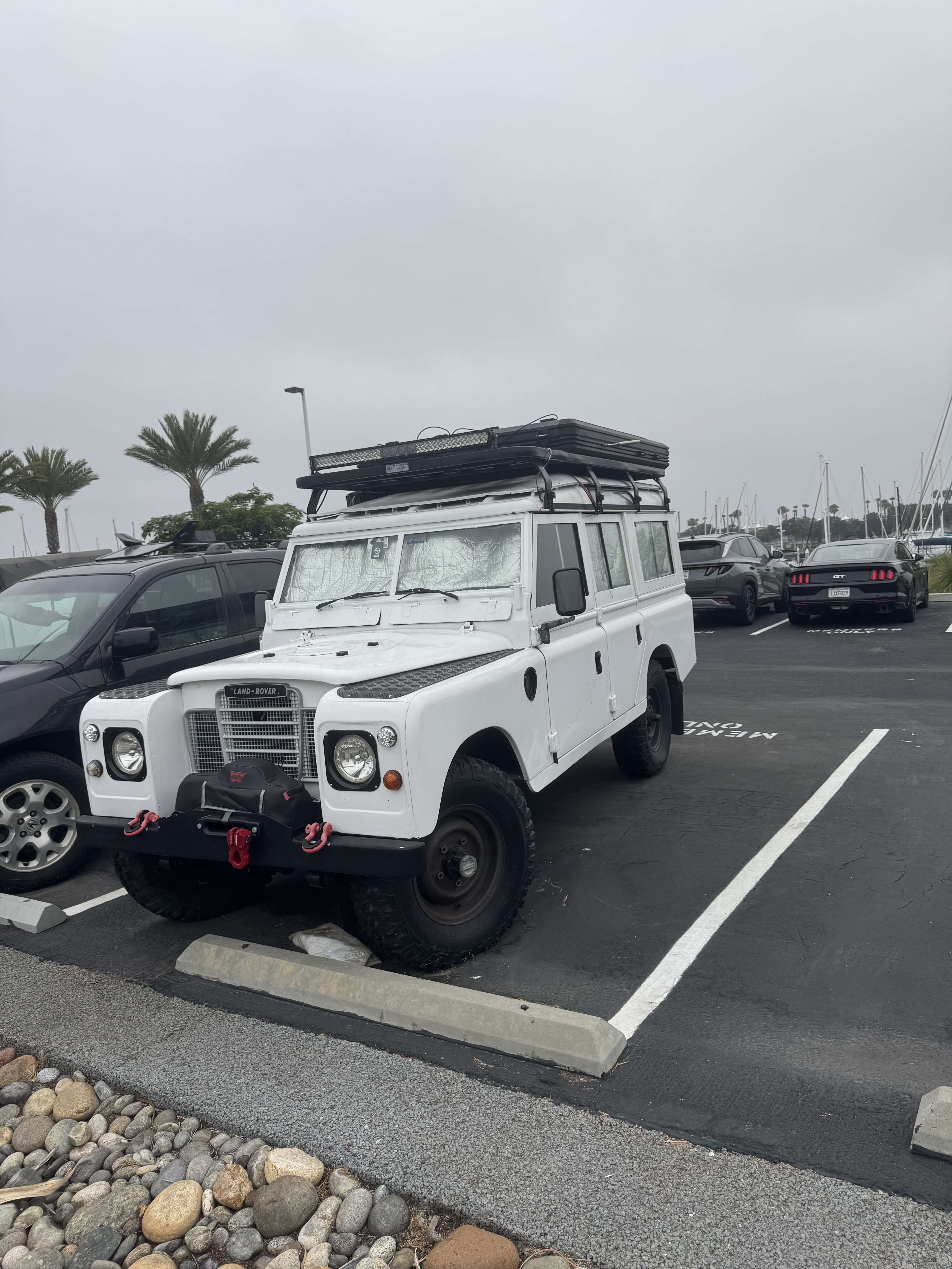 IMG_1037.jpeg
