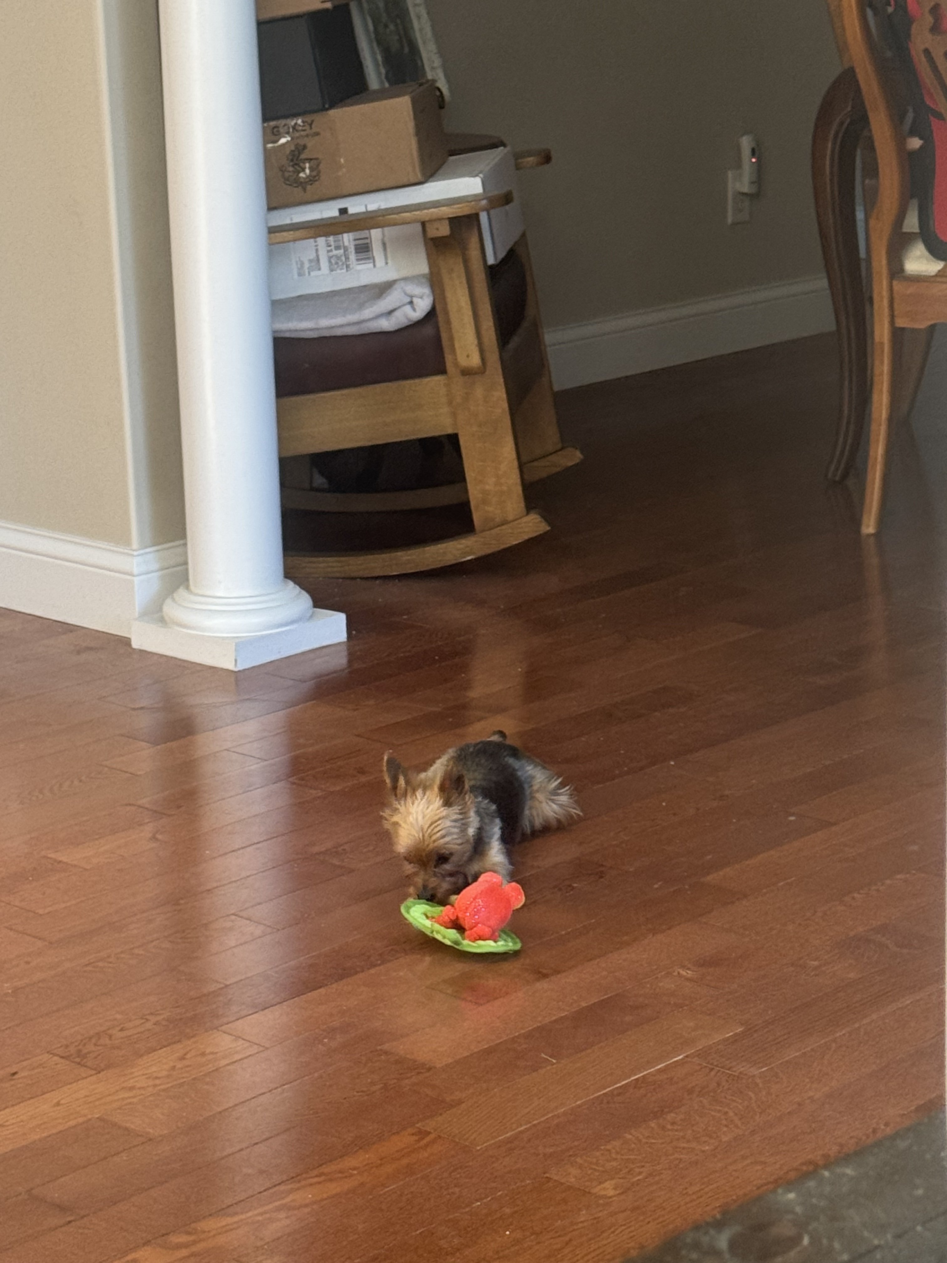 IMG_1443.jpeg