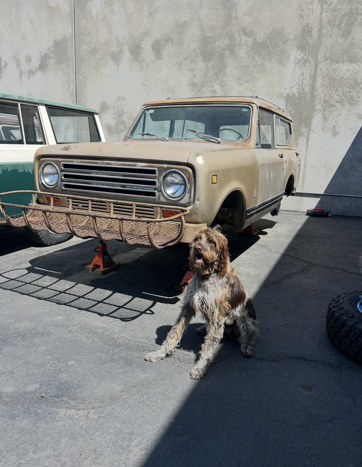 IMG_5847.jpeg