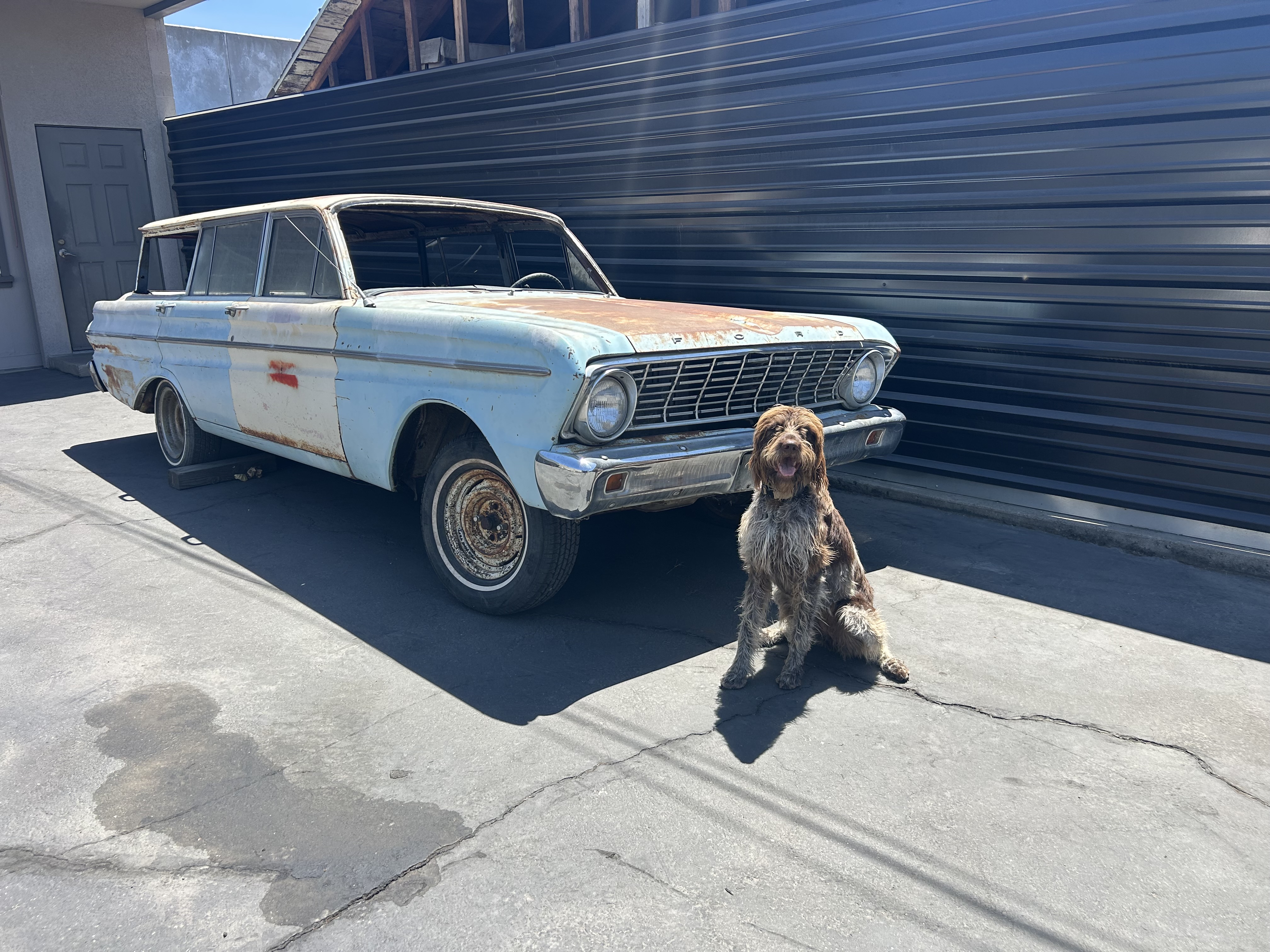 IMG_6015.jpeg