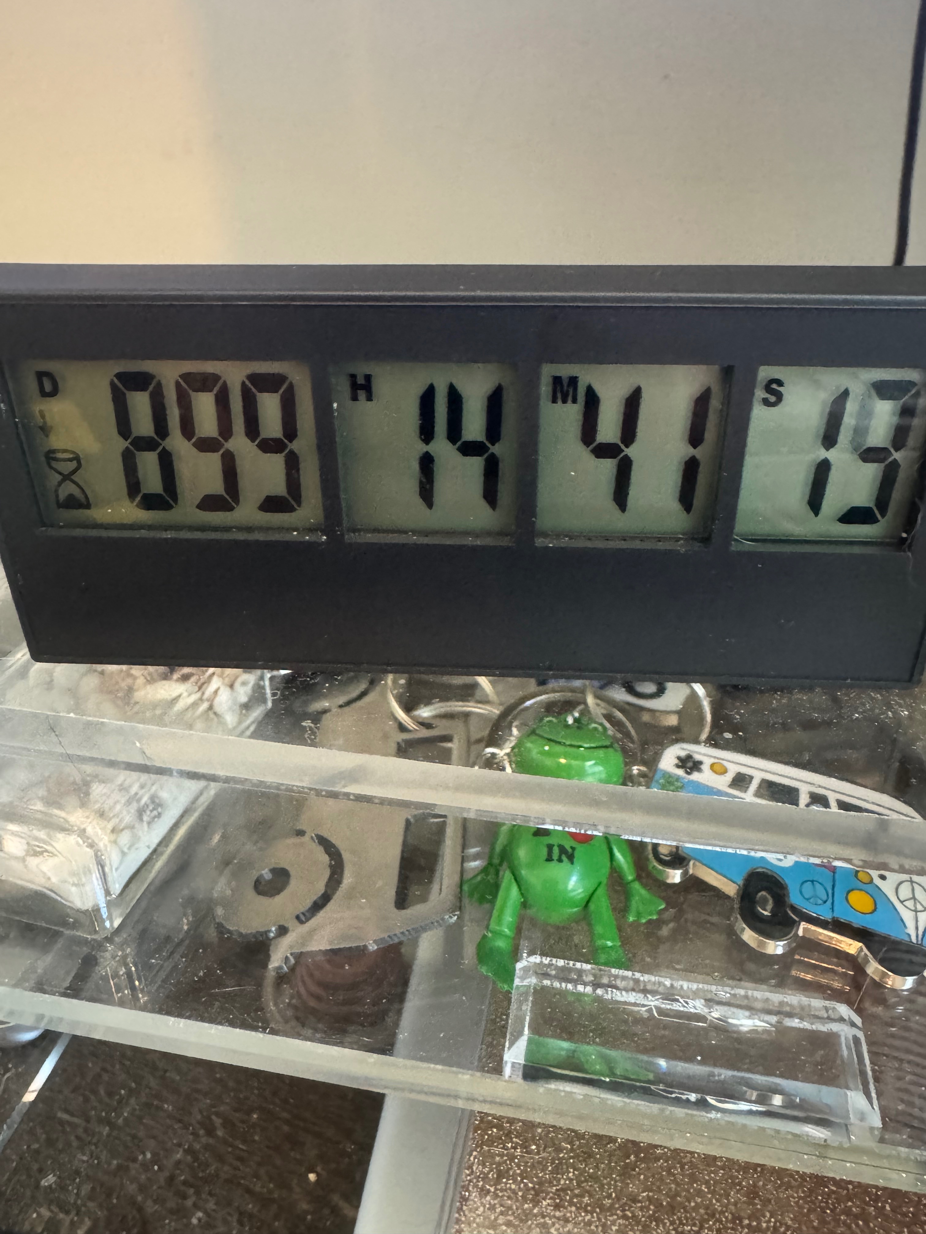 IMG_6584.jpeg
