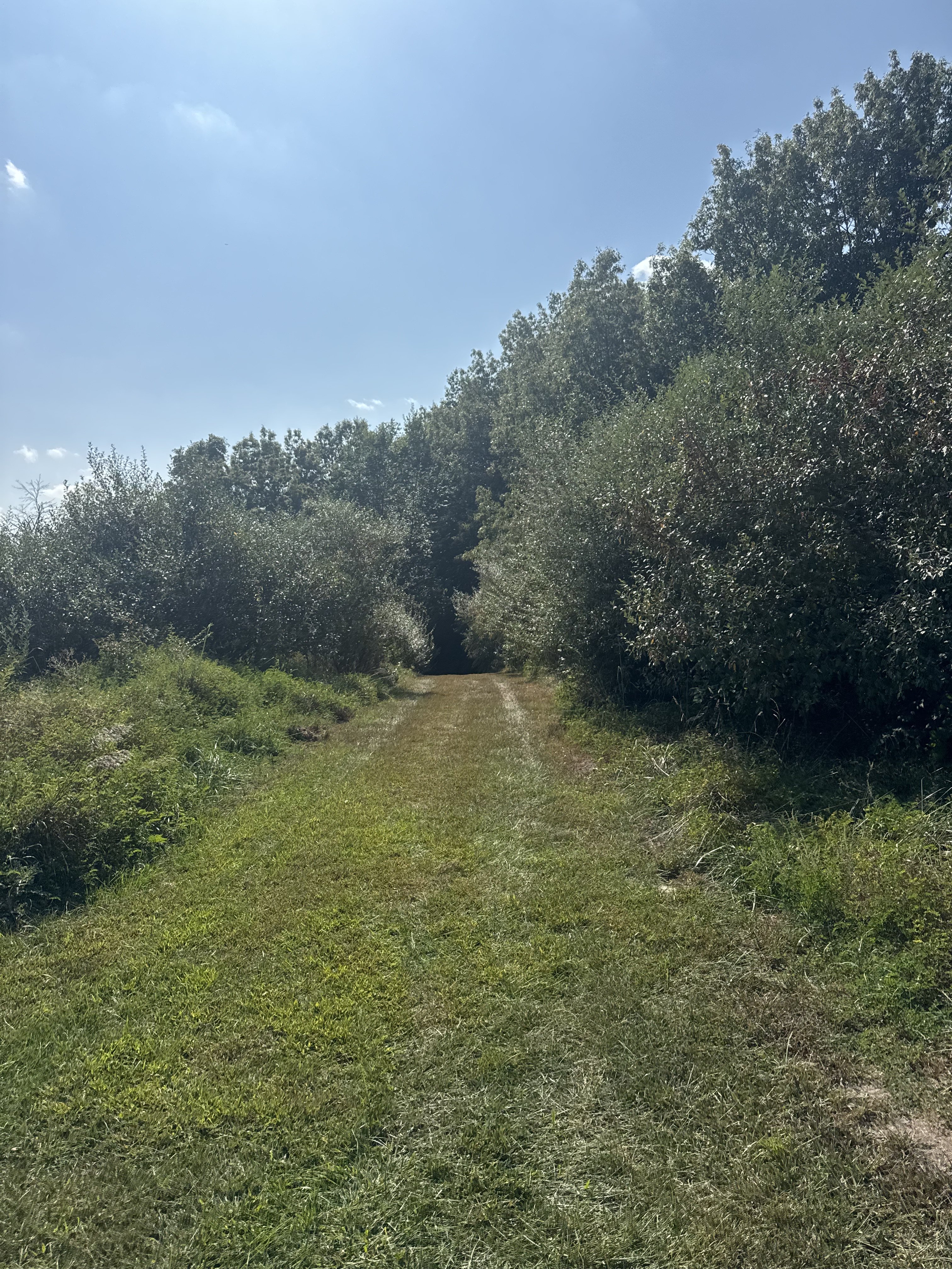 IMG_7138.jpeg