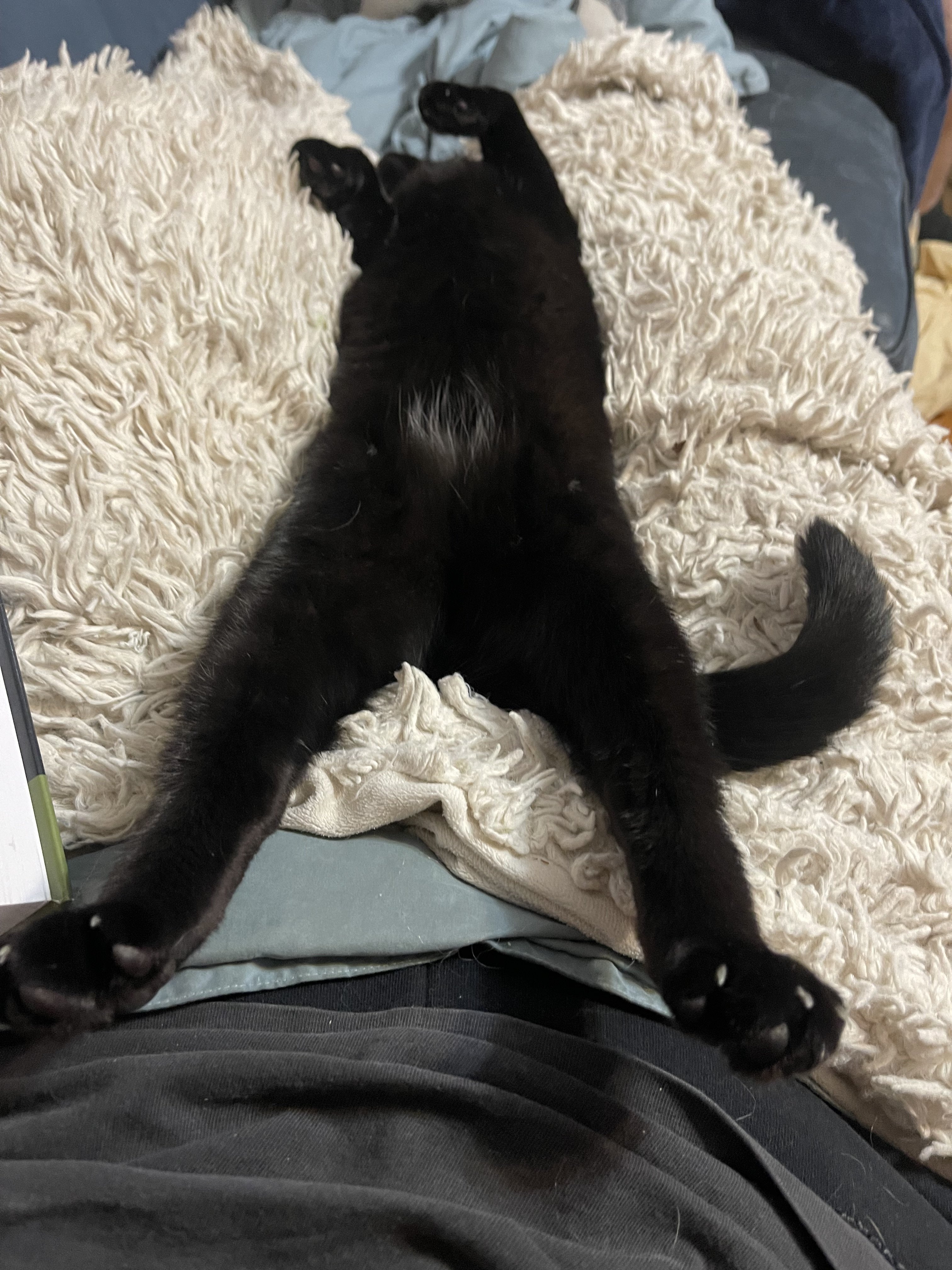 kuro4.jpeg