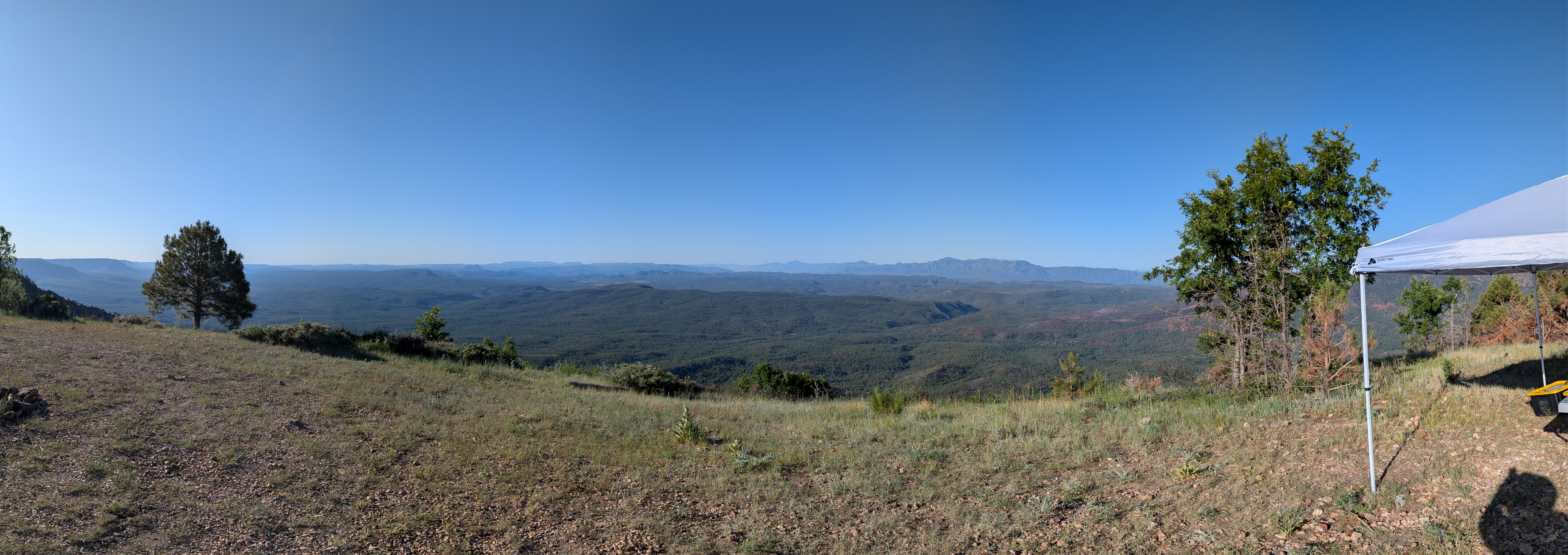 PXL_20250628_141819345.PANO.jpg