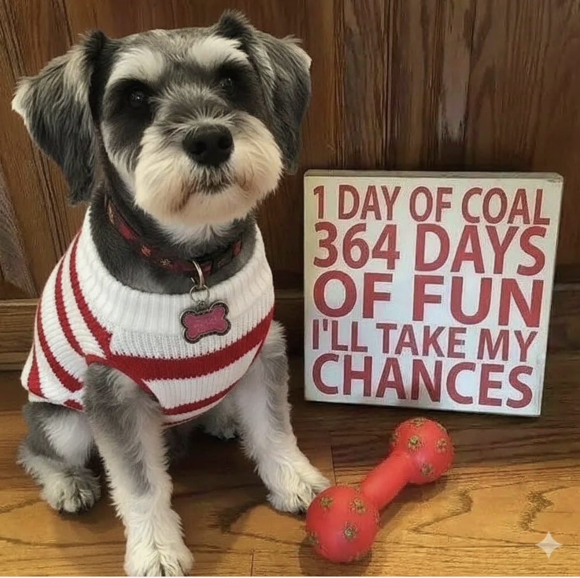 Screenshot 2025-12-19 at 10.09.31 PM.jpeg