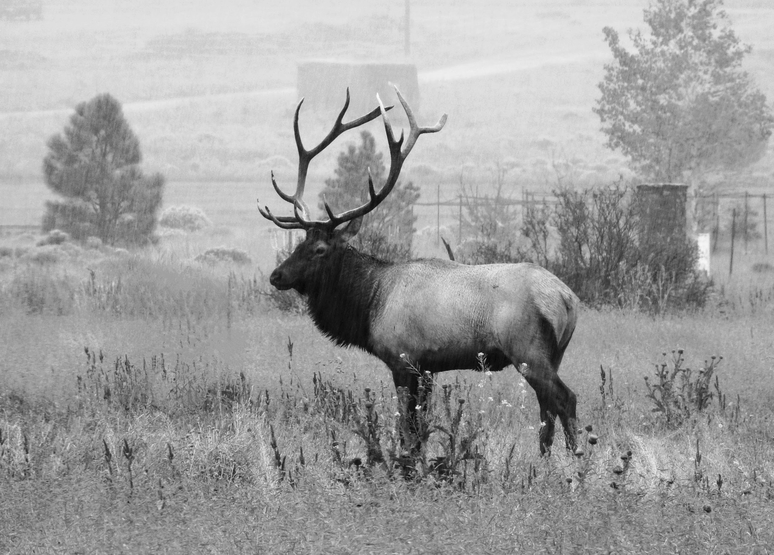 Screenshot 2026-03-10 at 07.36.48.png