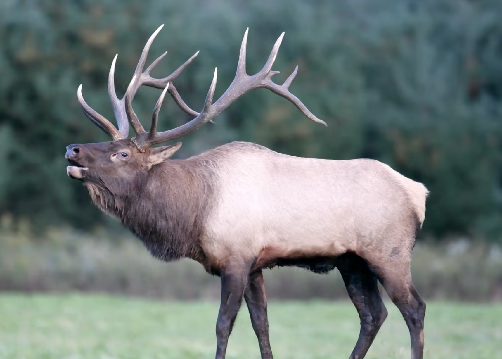 Screenshot 2026-03-10 at 10.24.14 AM.png