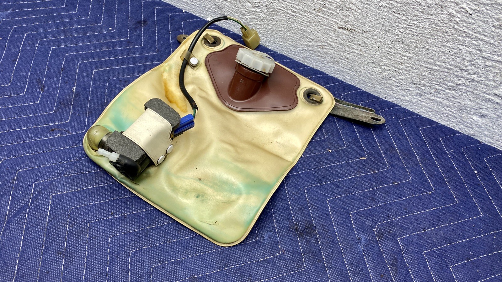 Supra Bladder.jpg