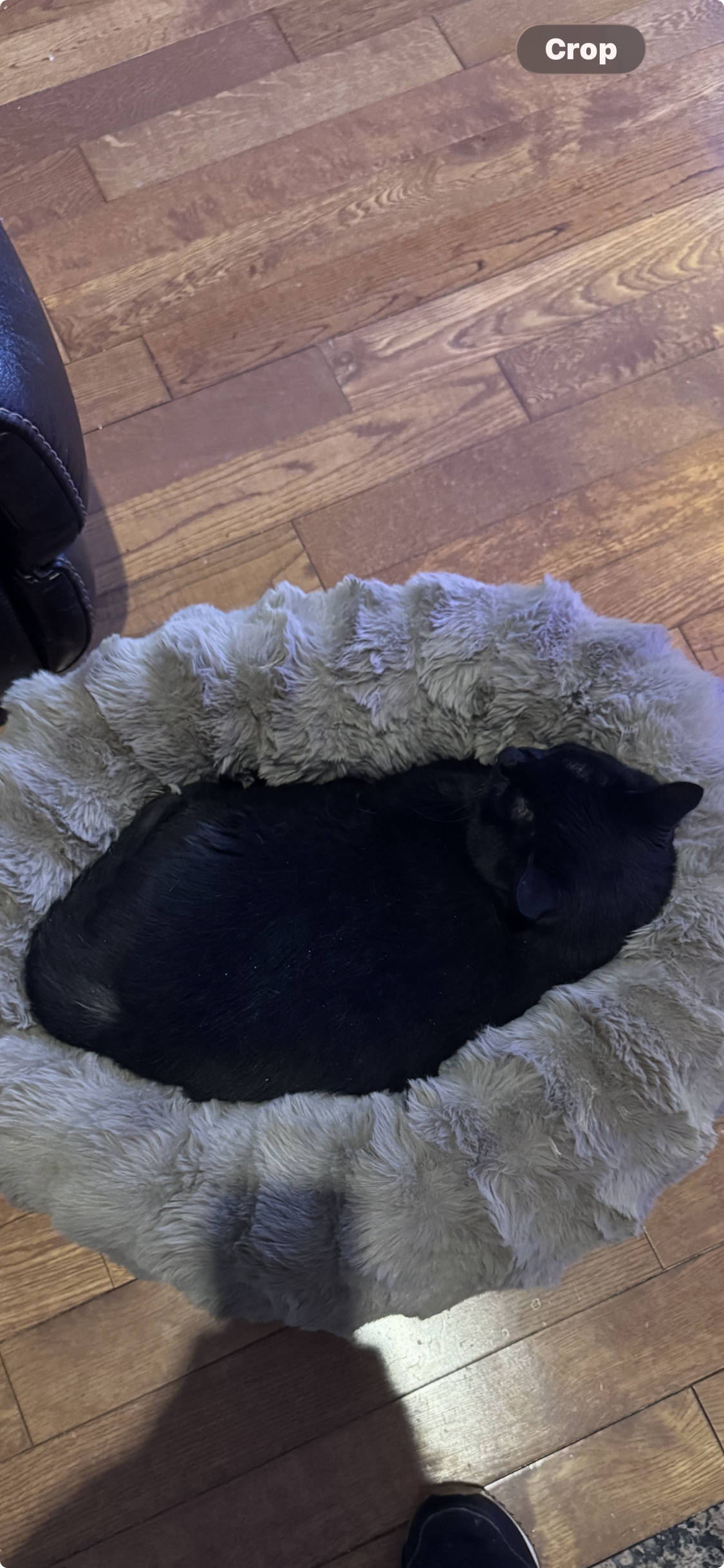 View recent photos.png