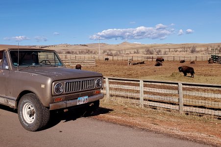 Black Hills Binder