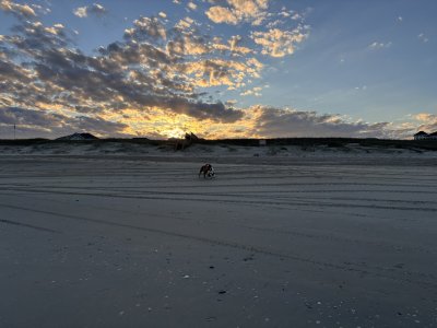 IMG_0339.jpeg