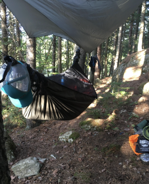 Screenshot 2025-11-11 at 9.05.50 AM.png