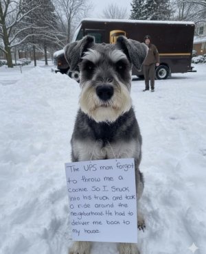 Screenshot 2025-12-13 at 8.12.23 PM.jpeg