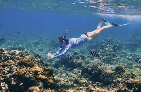 Screenshot 2026-01-09 at 10.01.46 AM.jpg