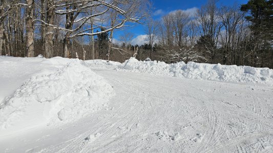 20260224_123627.jpg