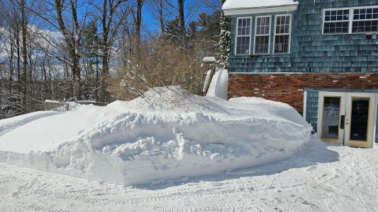 20260224_123725.jpg