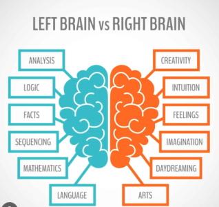 Screenshot 2026-04-02 at 10.12.21 AM.png