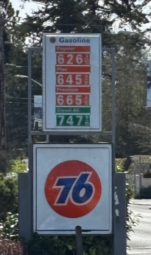 IMG_7425.jpeg
