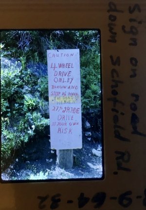 IMG_2824.jpeg
