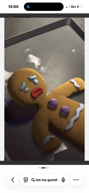 IMG_9332.png