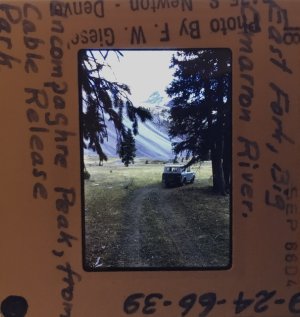 IMG_2838.jpeg