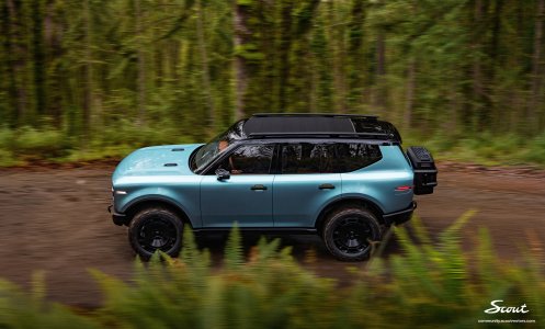 scout-traveler-woods1.jpg