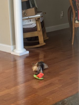 IMG_1443.jpeg