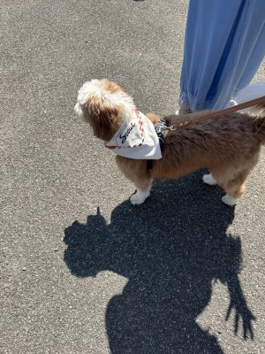 IMG_0064.jpeg