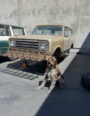 IMG_5847.jpeg