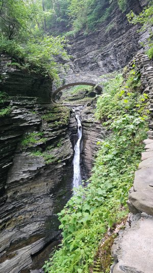 20260716_194657.jpg