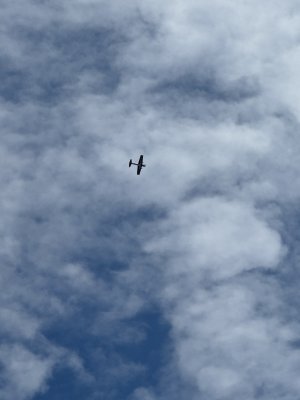 IMG_1095.jpeg
