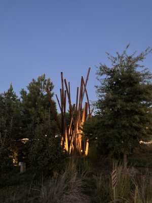 IMG_1455.jpeg