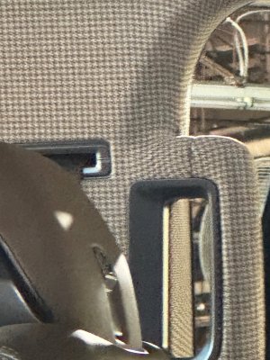IMG_1394.jpeg
