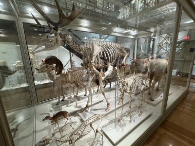IMG_1880.jpeg