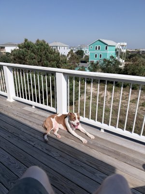 IMG_0705.jpeg