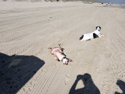 IMG_0701.jpeg