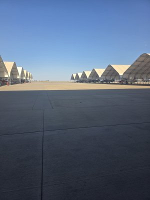 6951.jpg