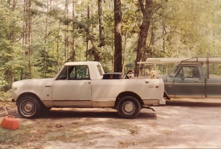 1978 Scout Terra