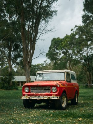 Winnie the Scout 80 (Australia)