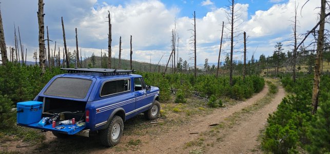 Blue Truck