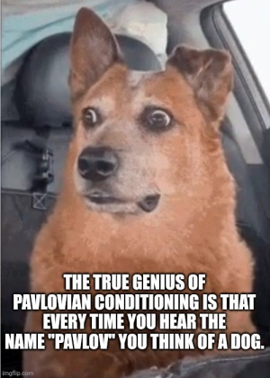1746224916643.png