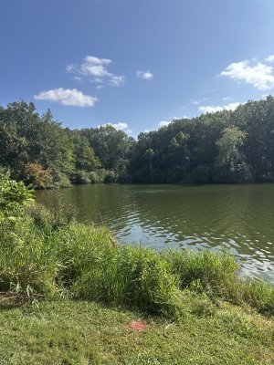 IMG_7140.jpeg